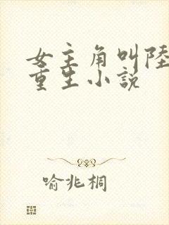 女主角叫陆晚的重生小说