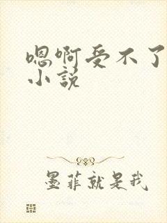 嗯啊受不了高h小说