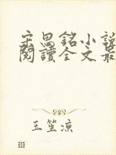 宋思铭小说免费阅读全文最新章节封面