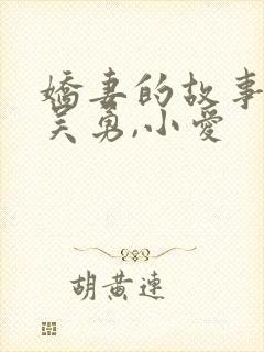 娇妻的故事小说吴勇,小爱