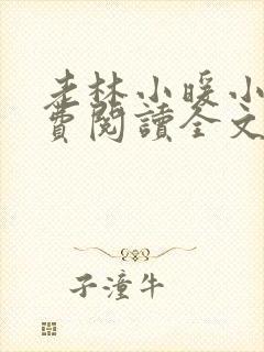 老林小暖小说免费阅读全文在线观看