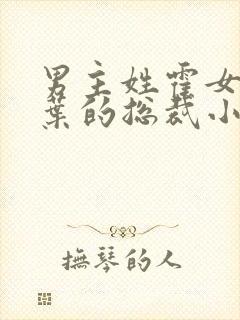 男主姓霍女主姓叶的总裁小说封面