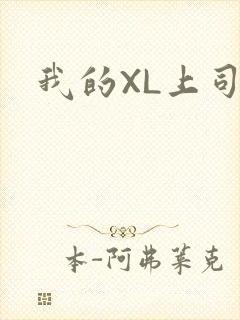 我的XL上司封面