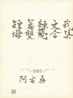 短篇辣文我和岳坶双飞合集