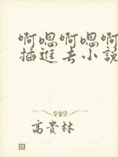 啊嗯啊嗯啊嗯啊插进去小说封面