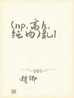 (np,高h,纯肉)乱l