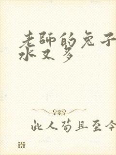 老师的兔子又软水又多封面