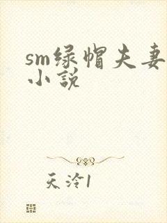 sm绿帽夫妻奴小说封面