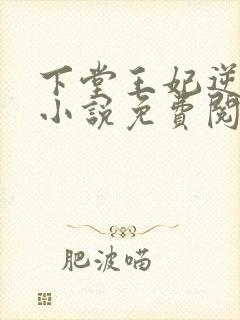 下堂王妃逆袭记小说免费阅读全文封面