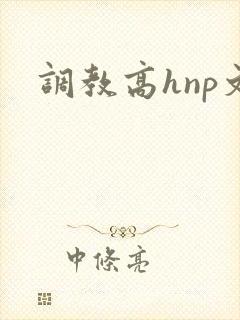 调教高hnp文