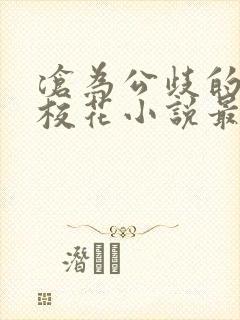 沧为公歧的清纯校花小说最新章节