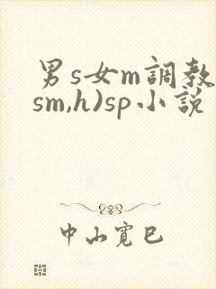 男s女m调教(sm,h)sp小说