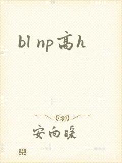 bl np高h封面