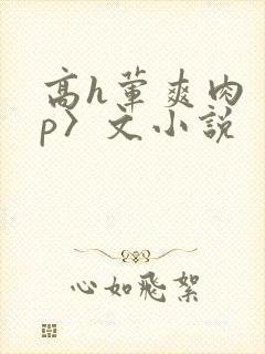 高h荤爽肉〈np〉文小说封面
