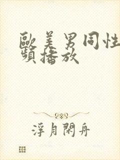 欧美男同性恋视频播放