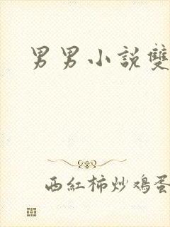 男男小说双性h