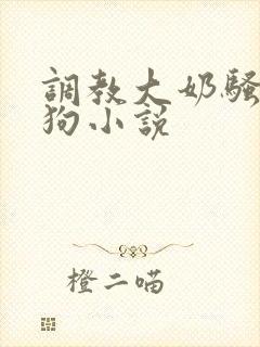 调教大奶骚货母狗小说