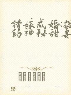 错嫁成婚:总裁的神秘甜妻封面