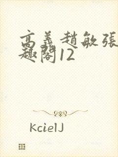 高义赵敏张倩笔趣阁12封面