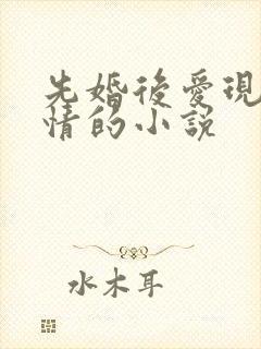 先婚后爱现代言情的小说