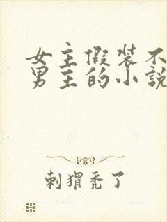 女主假装不认识男主的小说封面