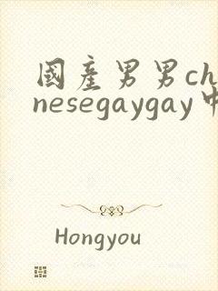 国产男男chinesegaygay中国帅哥网站