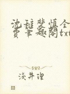 沈稚裴慎全文免费笔趣阁txt封面