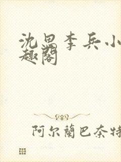 沈思李兵小说笔趣阁封面