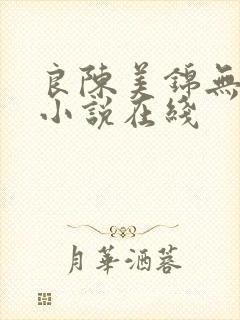 良陈美锦无删减小说在线封面