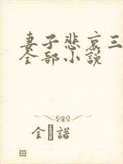 妻子悲哀三部曲全部小说