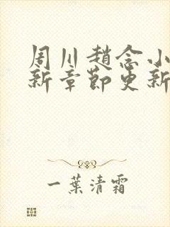 周川赵念小说最新章节更新内容