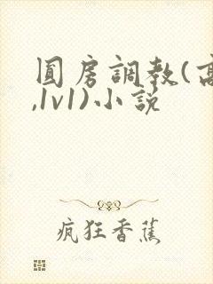 圆房调教(高h,1v1)小说