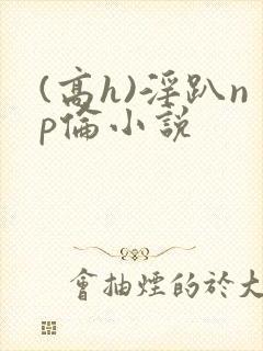 (高h)淫趴np伦小说