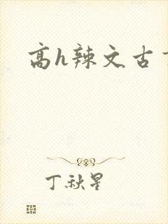 高h辣文古言