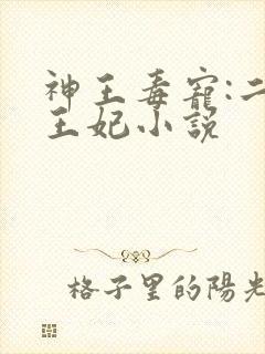 神王毒宠:二嫁王妃小说