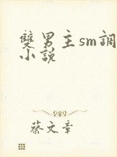 双男主sm调教小说封面