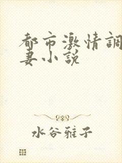 都市激情调教人妻小说封面