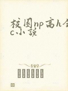 校园np高h全c小说