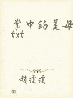 掌中的美母版主txt