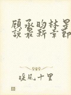 顾承昀林星禾小说最新章节免费阅读