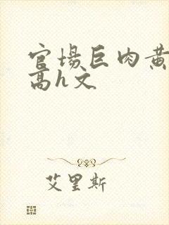 官场巨肉黄暴辣高h文