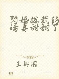 闪婚总裁的农村娇妻甜翻了短剧免费观看封面