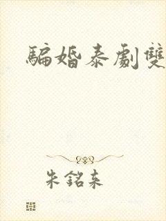 骗婚泰剧双男主