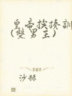 皇帝挨揍训诫文(双男主)