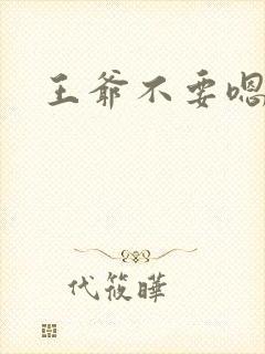 王爷不要嗯嗯嗯封面