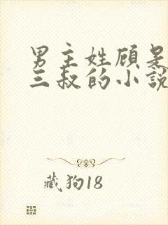 男主姓顾是女主三叔的小说