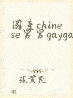 国产chinese男男gaygay无套网站