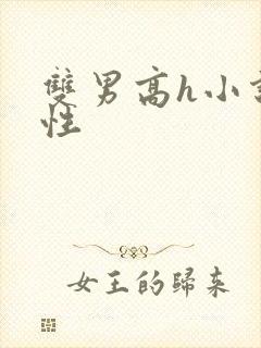 双男高h小说双性封面