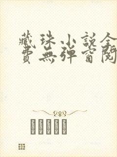 藏珠小说全文免费无弹窗阅读