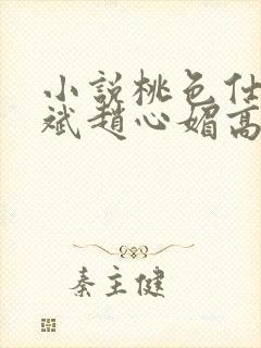 小说桃色仕途陈斌赵心媚高婉君封面